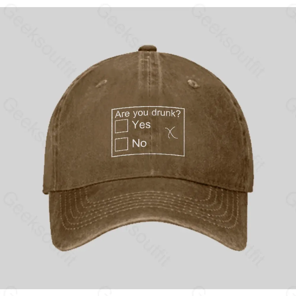 Are You Drunk Washed Vintage Baseball Cap