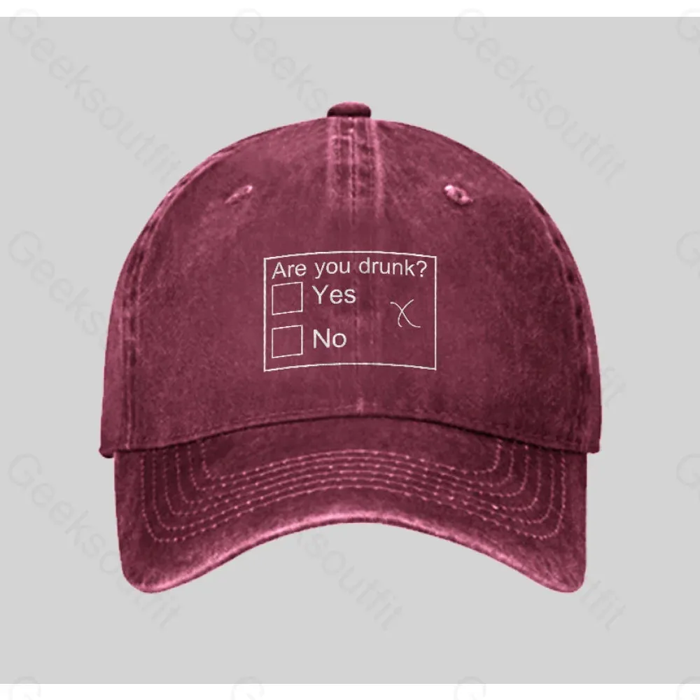 Are You Drunk Washed Vintage Baseball Cap