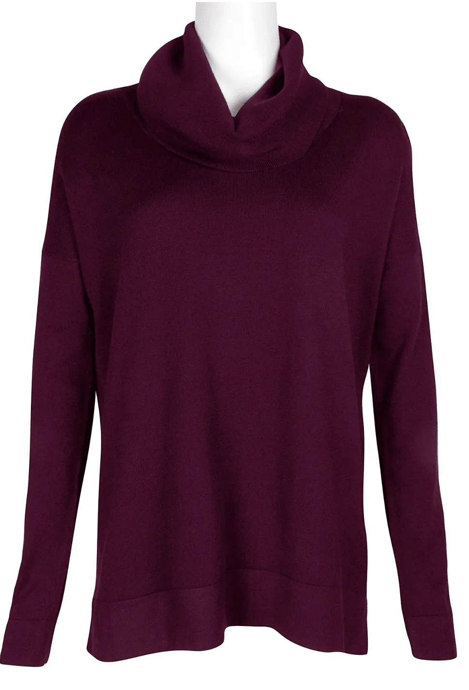 Cupio Long Sleeve High Neck Top